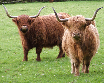 Lösungen für Landwirte